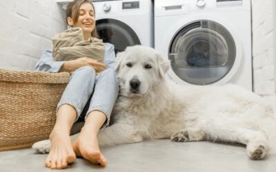 What is your laundry personality?
