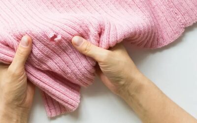 How to Prevent Moth Holes and Damage